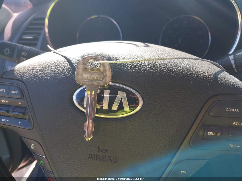 2015 Kia Forte Lx VIN: KNAFX4A61F5258620 Lot: 43518339