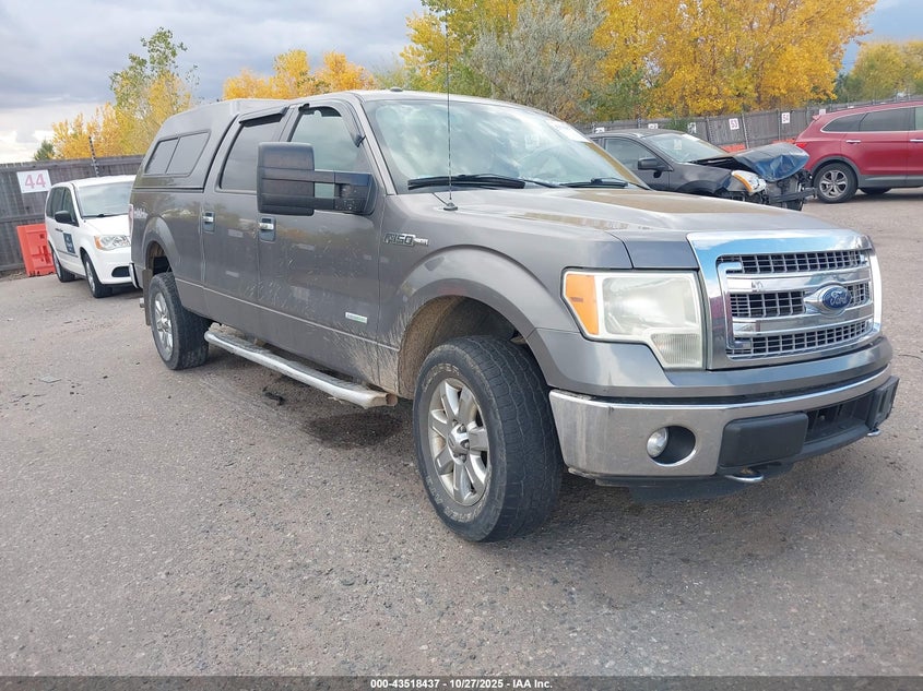 FORD F-150 XLT