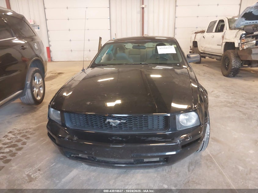 2009 Ford Mustang V6/V6 Premium VIN: 1ZVHT80N595112326 Lot: 43518527