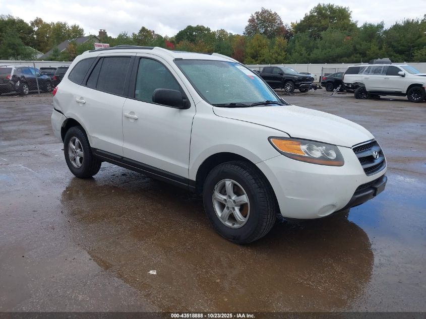2007 Hyundai Santa Fe
