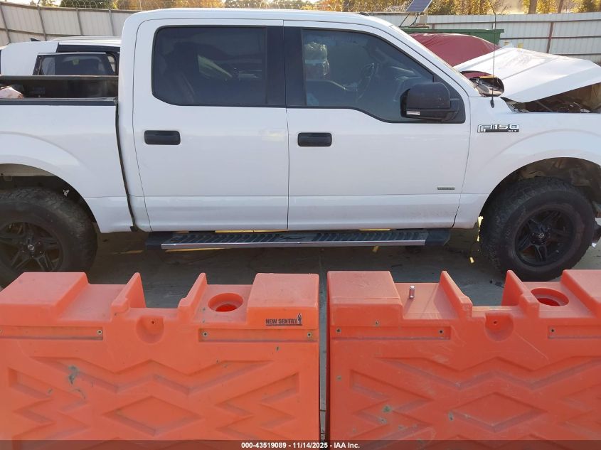 2016 Ford F-150 Xlt VIN: 1FTEW1EG2GKF53067 Lot: 43519089