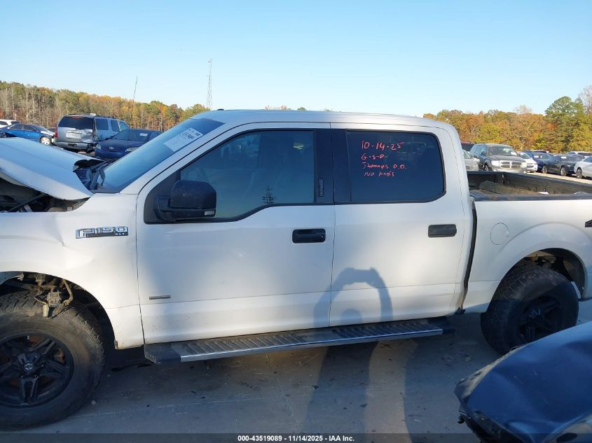 2016 Ford F-150 Xlt VIN: 1FTEW1EG2GKF53067 Lot: 43519089