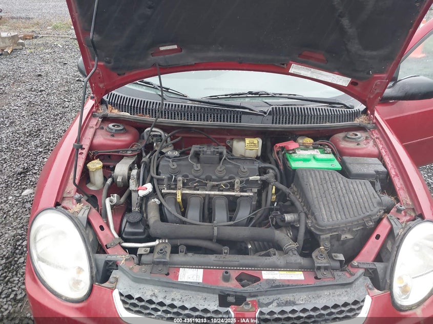 1B3ES56C55D240922 2005 DODGE NEON photo no. 10