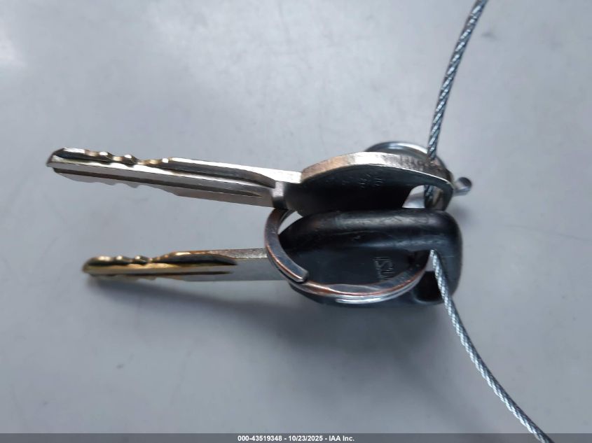 2002 Isuzu Axiom Xs VIN: 4S2CE58X124611006 Lot: 43519348