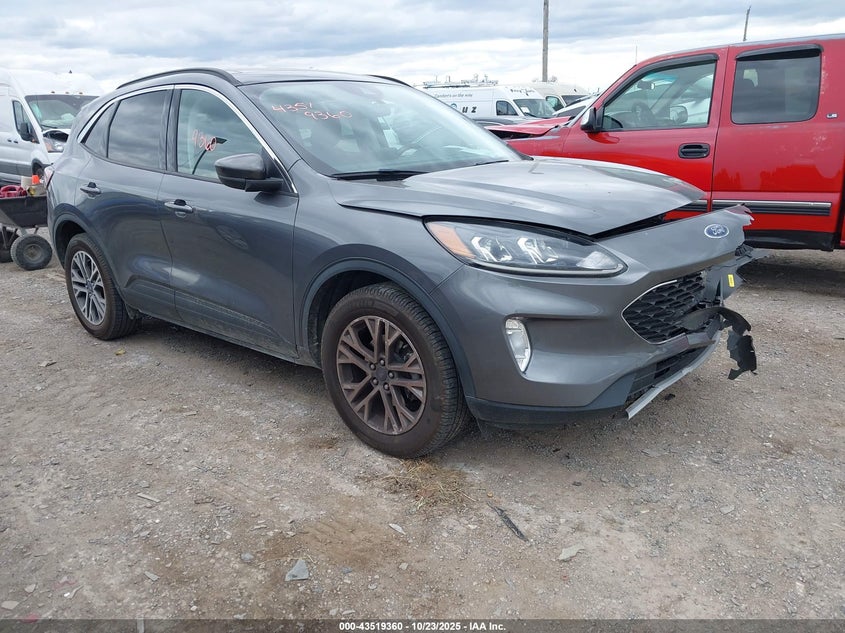 FORD ESCAPE SEL