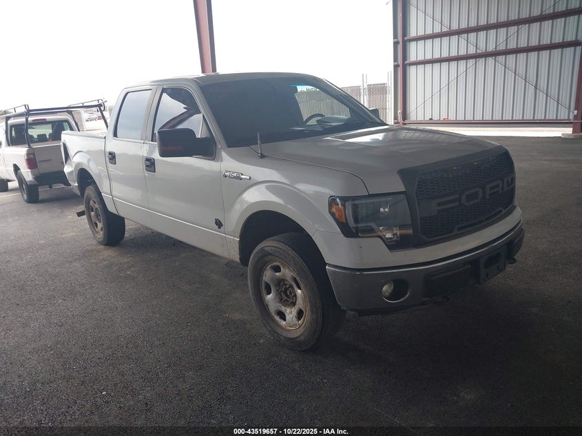 FORD F-150 XLT