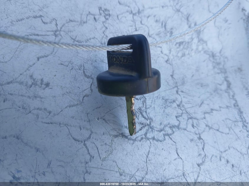 2020 HONDA TRX420 FE 1HFTE406XL4600084