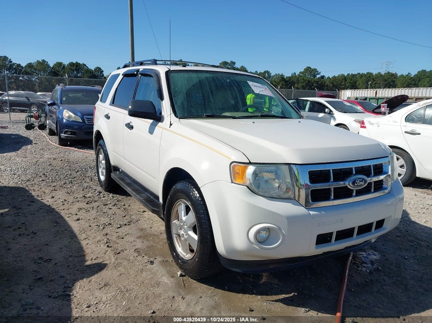 1FMCU0DGXBKA41621 2011 Ford Escape Xlt auction photo 1