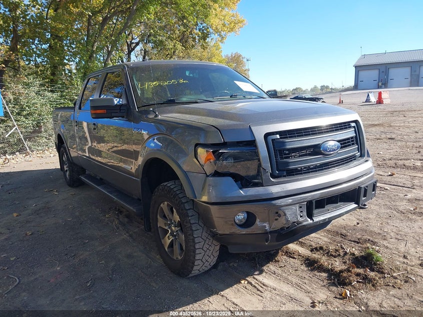 FORD F-150 FX4