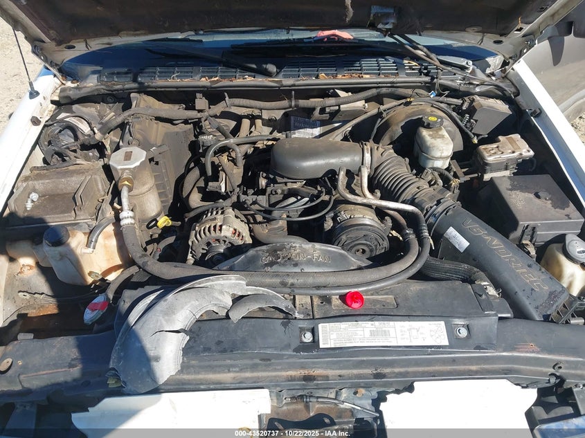 2004 Chevrolet Blazer Ls VIN: 1GNCS13XX4K169093 Lot: 43520737