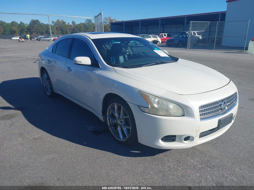 NISSAN MAXIMA 3.5 SV