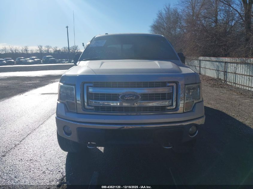 2013 Ford F-150 Xlt VIN: 1FTFW1EF7DKF32447 Lot: 43521120