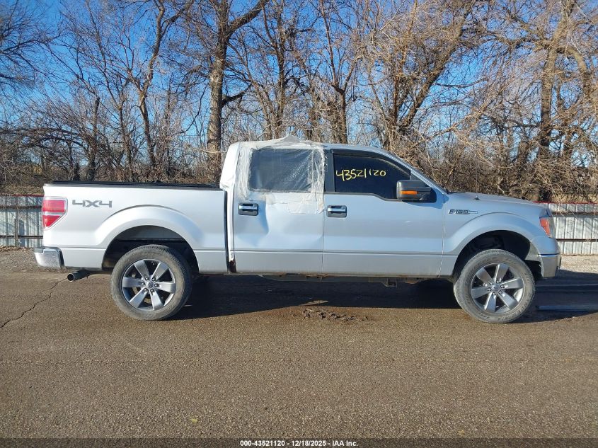 2013 Ford F-150 Xlt VIN: 1FTFW1EF7DKF32447 Lot: 43521120