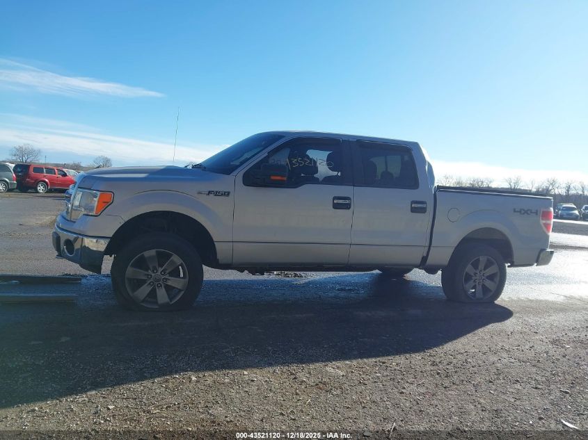 2013 Ford F-150 Xlt VIN: 1FTFW1EF7DKF32447 Lot: 43521120