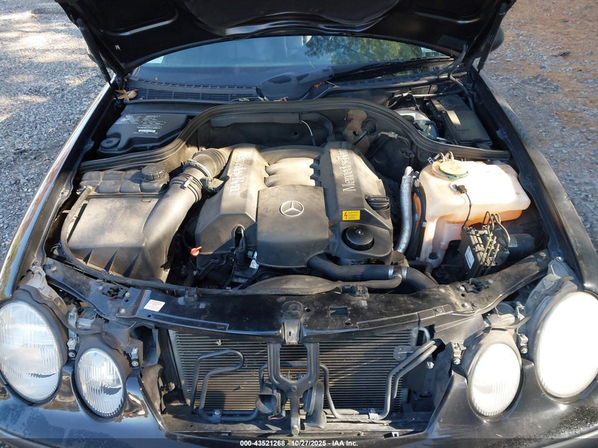 WDBLK65G4XT010442 1999 MERCEDES-BENZ CLK-KLASSE photo no. 10