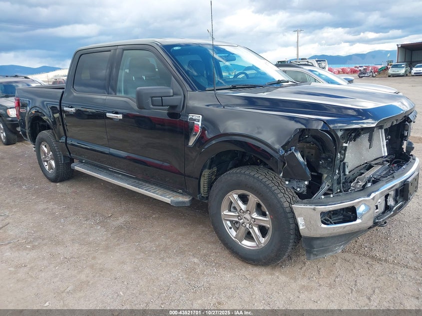 2025 FORD F-150 XLT - 1FTFW3L83SKE89416