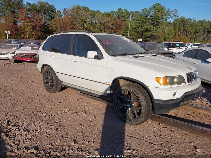 5UXFA53593LV77641 2003 BMW X5 3.0I auction photo 1