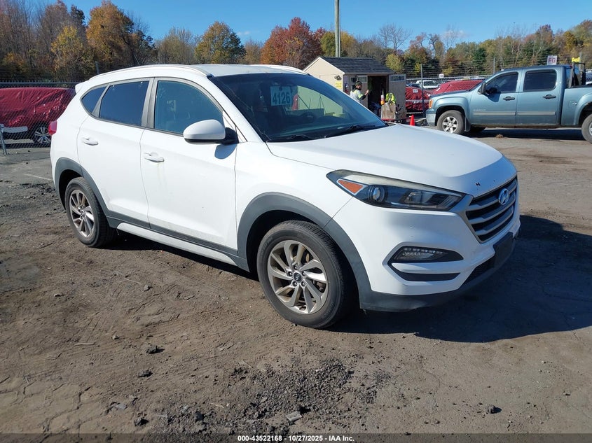 KM8J3CA41HU552508 2017 Hyundai Tucson Se auction photo 1
