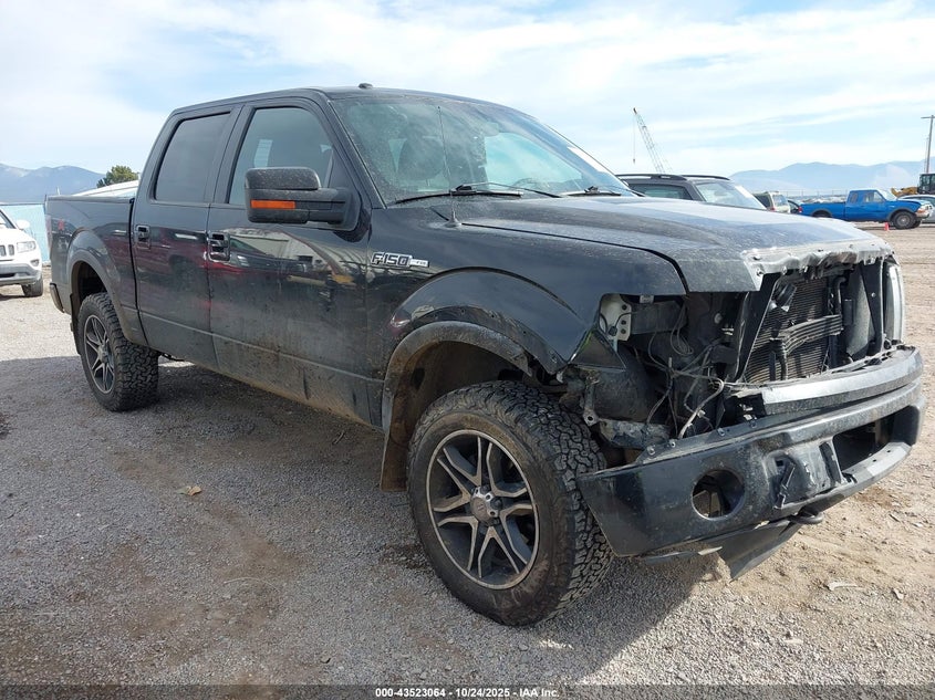 FORD F-150 FX4/HARLEY-DAVIDSON/KING RANCH/LARIAT/PLATINUM/XL/XLT