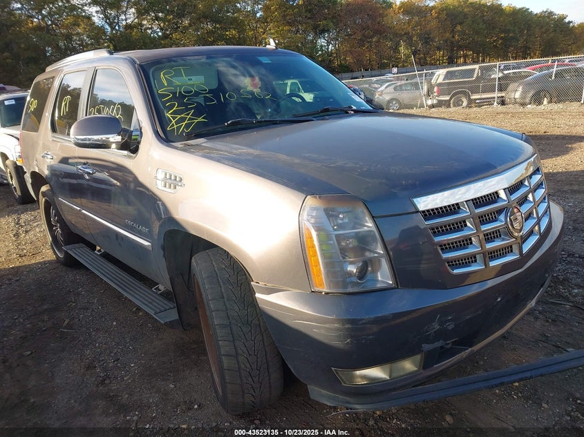 CADILLAC ESCALADE PREMIUM
