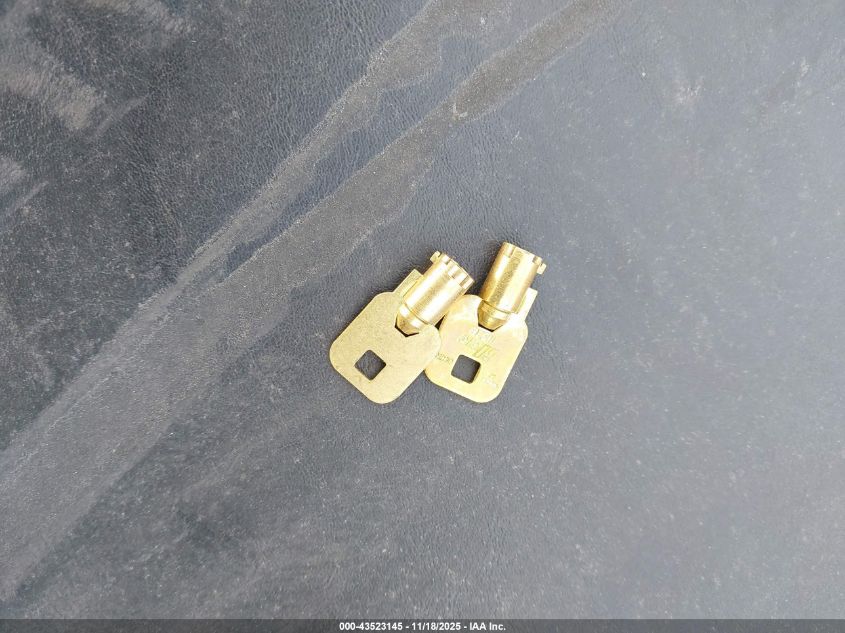 2007 Harley-Davidson Flhrci VIN: 1HD1FR4157Y608181 Lot: 43523145