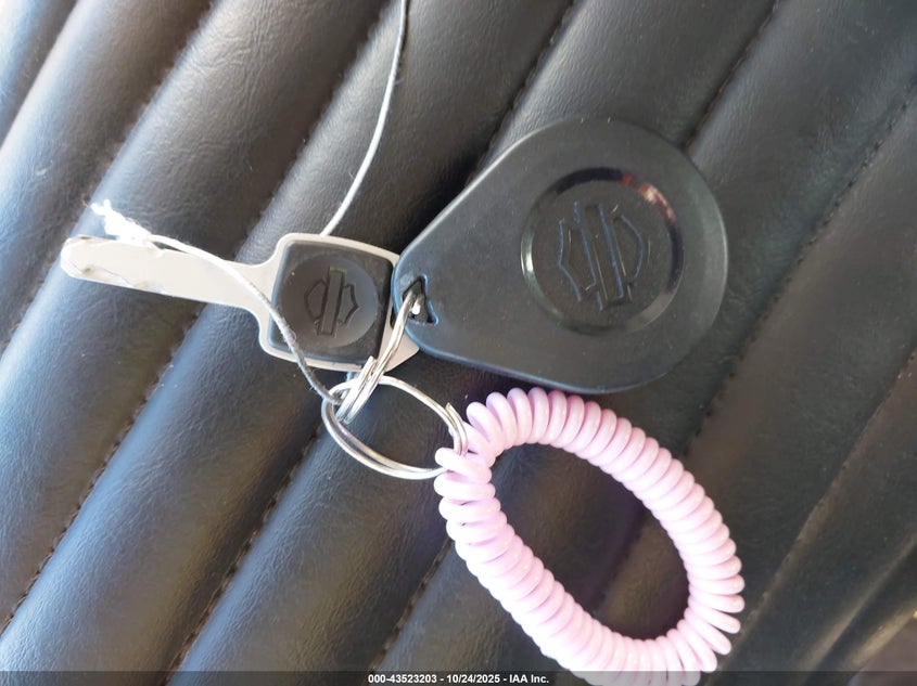 2024 HARLEY-DAVIDSON FXST 1HD1BVJ15RB049956