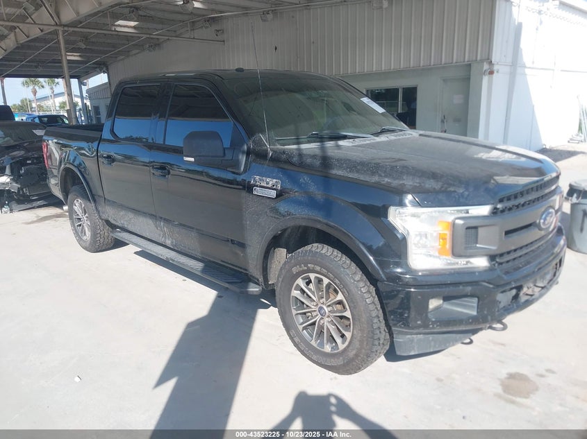 FORD F-150 XLT