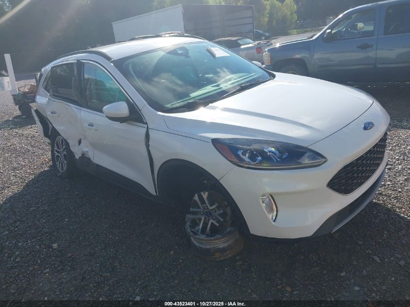 FORD ESCAPE SEL