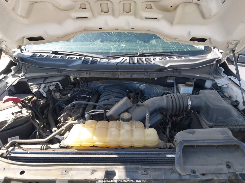 2021 FORD F-150 XL 1FTMF1E54MKE19800