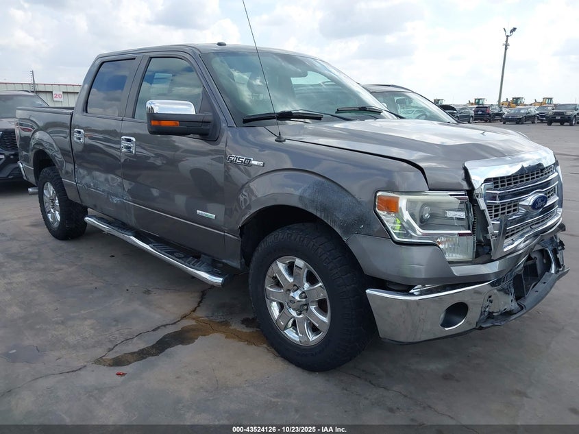 FORD F-150 XLT