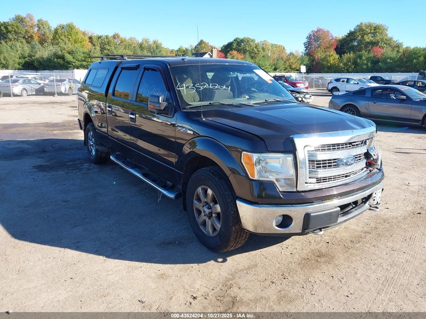 FORD F-150 XLT