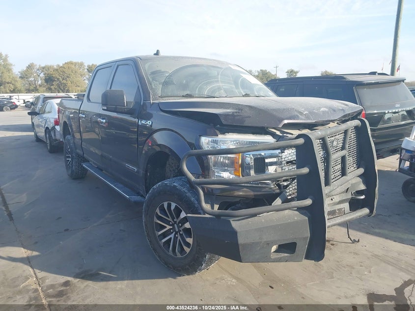 FORD F-150 XLT