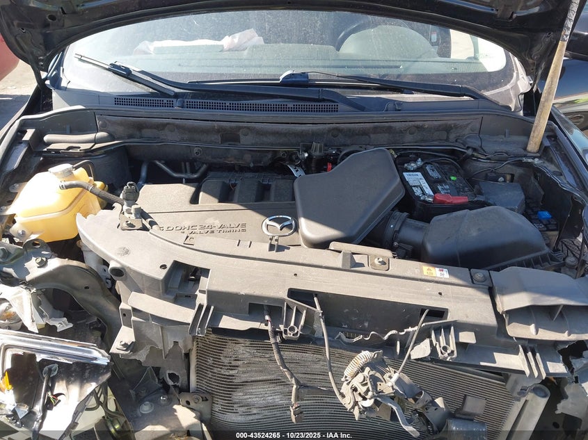 2009 Mazda Cx-9 Grand Touring VIN: JM3TB38V990180642 Lot: 43524265