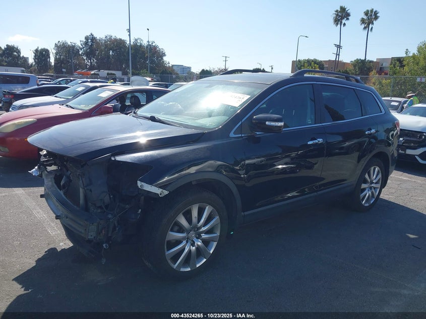2009 Mazda Cx-9 Grand Touring VIN: JM3TB38V990180642 Lot: 43524265