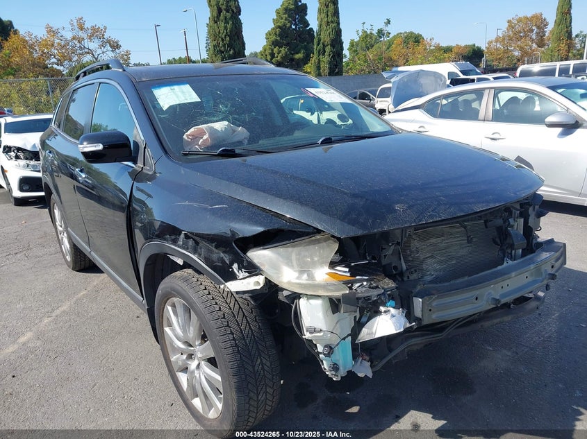 2009 Mazda Cx-9 Grand Touring VIN: JM3TB38V990180642 Lot: 43524265