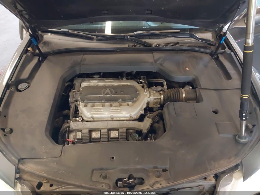2009 Acura Tl 3.5 VIN: 19UUA865X9A006459 Lot: 43524395