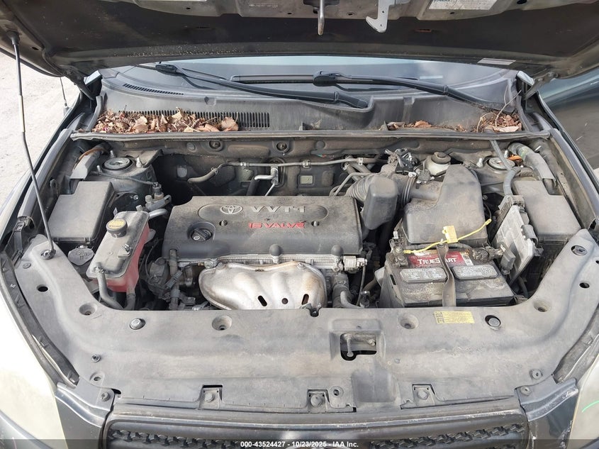 JTMZD32V166010208 2006 TOYOTA RAV 4 photo no. 10