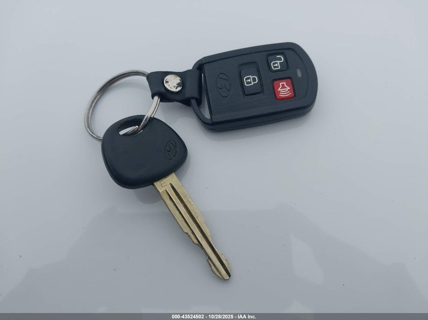 2004 Hyundai Santa Fe Gls/Lx VIN: KM8SC13E44U822713 Lot: 43524502