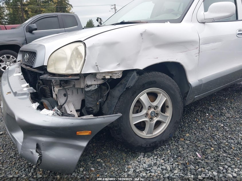 2004 Hyundai Santa Fe Gls/Lx VIN: KM8SC13E44U822713 Lot: 43524502