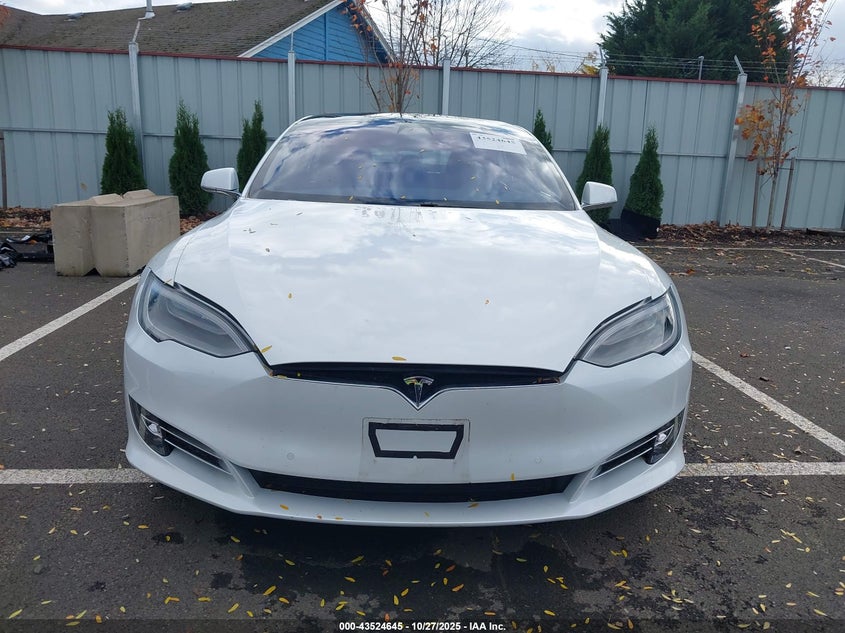 2019 Tesla Model S 100D/75D/Long Range/Standard Range VIN: 5YJSA1E27KF343818 Lot: 43524645