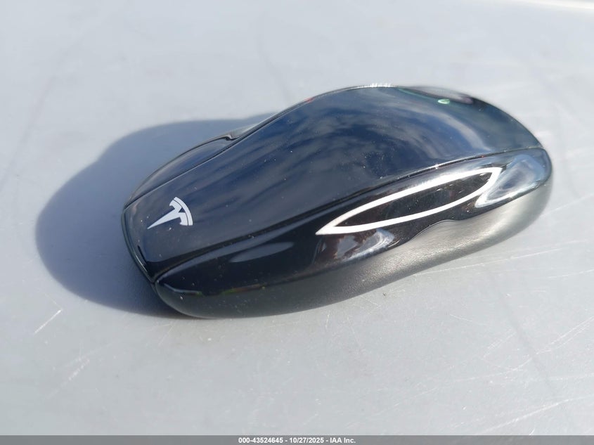 2019 Tesla Model S 100D/75D/Long Range/Standard Range VIN: 5YJSA1E27KF343818 Lot: 43524645