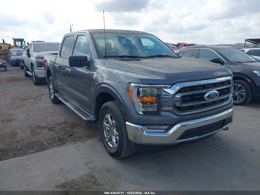 2023 FORD F-150 XLT - 1FTFW1E52PFA61604