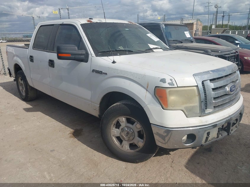 FORD F-150 FX2 SPORT/XL/XLT