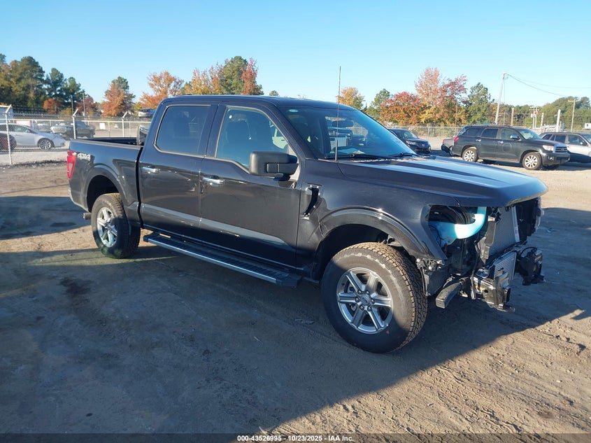 2025 FORD F-150 XLT - 1FTFW3L82SKE51241