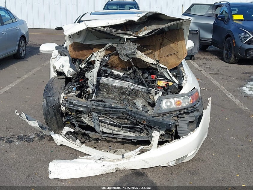 2008 Acura Tsx VIN: JH4CL96948C016239 Lot: 43528005