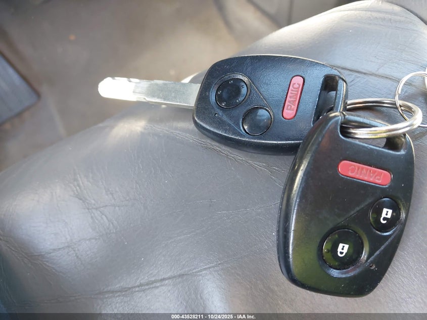 2008 Honda Cr-V Ex-L VIN: JHLRE48768C033552 Lot: 43528211