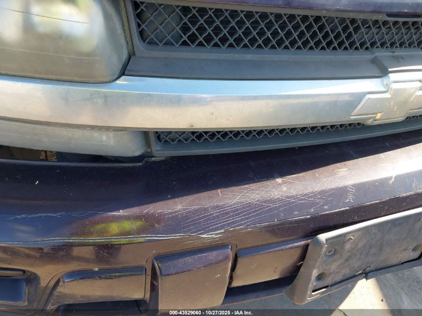 2008 Chevrolet Trailblazer Fleet VIN: 1GNDS13S782173049 Lot: 43529060