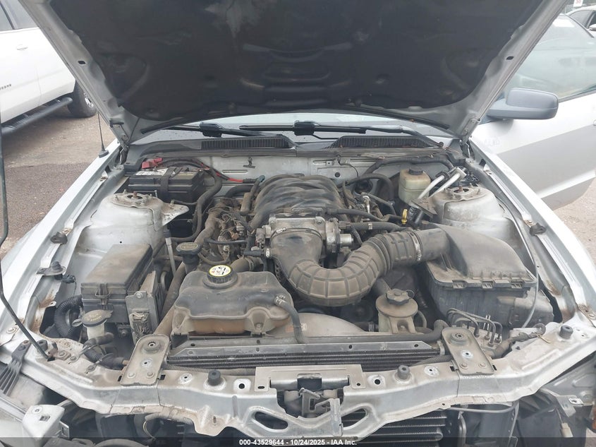 2006 Ford Mustang Gt VIN: 1ZVHT82H365113011 Lot: 43529644