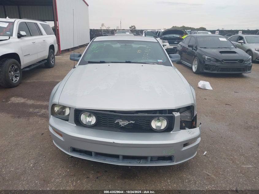 2006 Ford Mustang Gt VIN: 1ZVHT82H365113011 Lot: 43529644