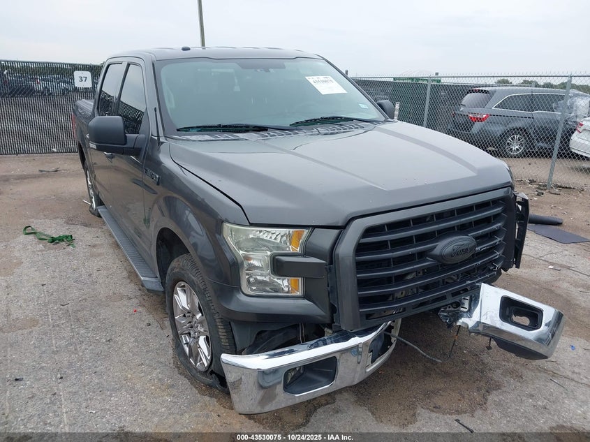 FORD F-150 XLT